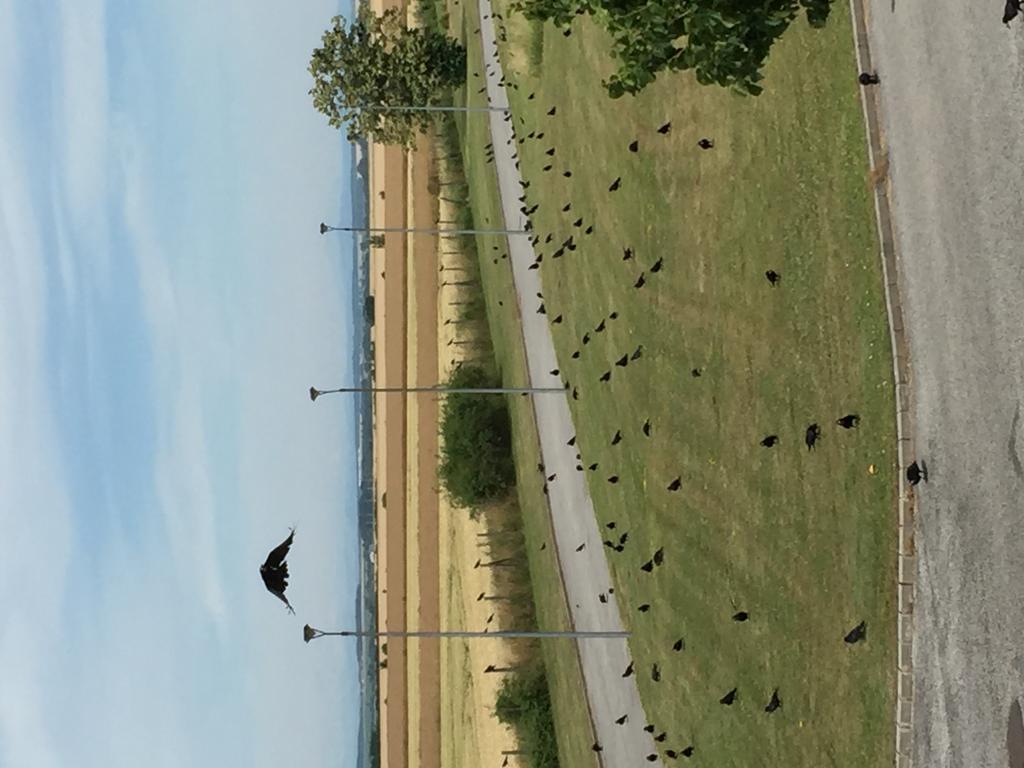 Birdland Villapark Golf View Buk Bagian luar foto