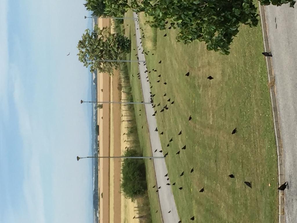 Birdland Villapark Golf View Buk Bagian luar foto